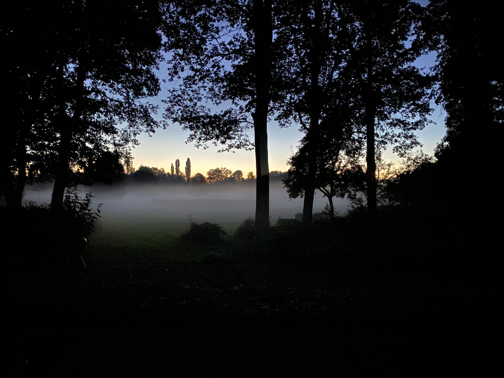 De diepte in met beide benen op de grond - 24 uur solo retraite - Nita Wink
